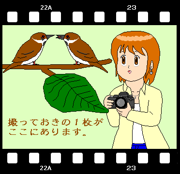 �u�B���Ă����̂P���v�́A�������N���b�N���Ă��������ˁB